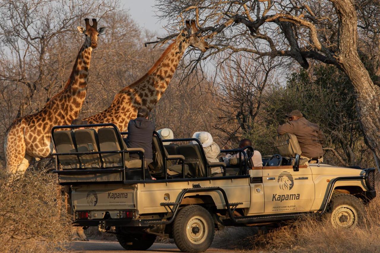 Kapama Southern Camp