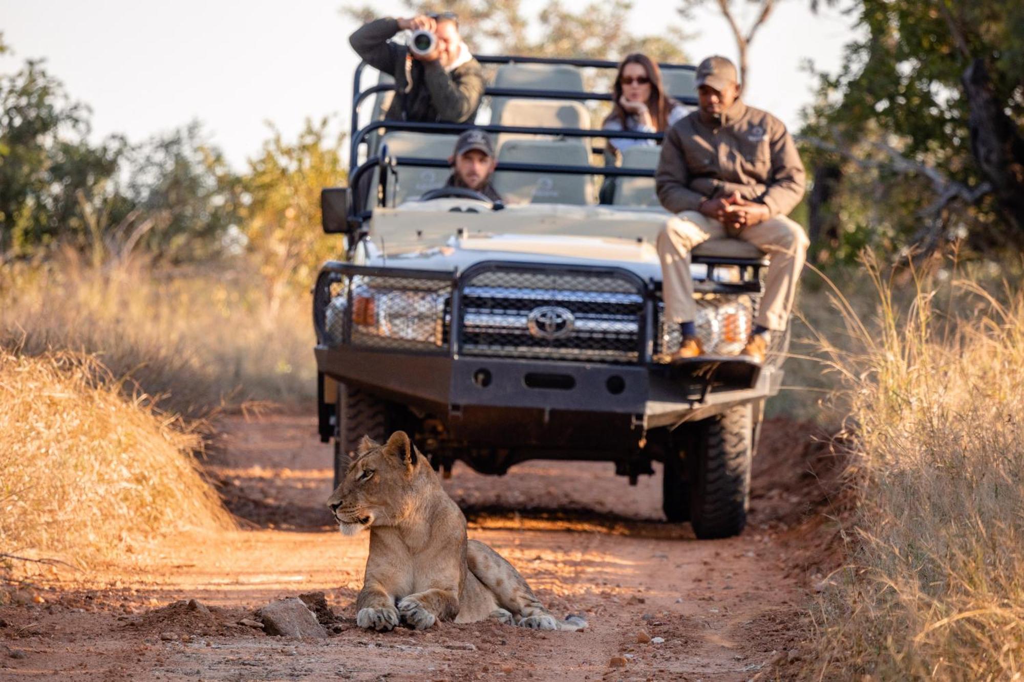 Kapama Southern Camp * Kapama Game Reserve